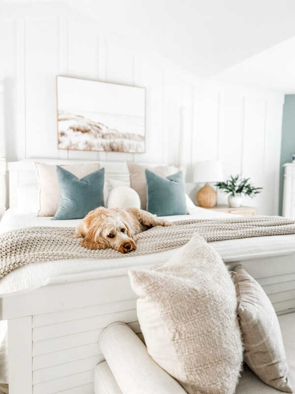 Calming master bedroom with cohesive color palette